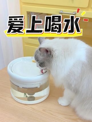 让猫咪爱上喝水,3重过滤,每一口都是干净的~ #铲屎官日常 #宠物饮水机 #抖in萌宠计划