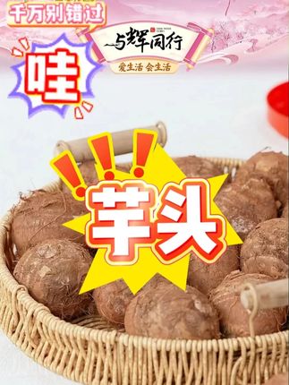 正宗云南牛奶小芋头1/3/5/9斤现挖新鲜农家粉糯毛芋头香 #芋头 #小芋头 #牛奶芋头 #毛芋头 #粉糯芋头