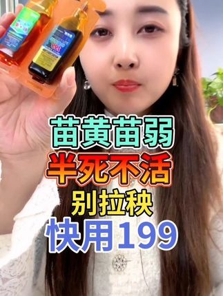 苗黄苗弱 半死不活 别拉秧 快用199 #三农 #农业种植 #农业技术推广 #增产增收才是硬道理