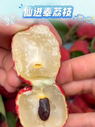 仙进奉荔枝新鲜现摘应当季水果#快来一起尝个鲜 #荔枝 #新鲜应季水果 #新鲜采摘 #荔枝