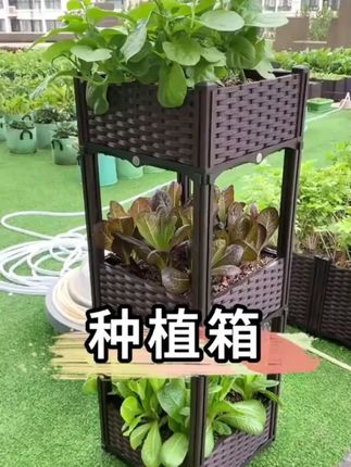 种植箱种菜专用箱神器楼顶特大清仓家庭阳台户外楼顶蔬菜塑料花盆 #种植箱 #种植箱种菜 #种植箱种菜神器 #特大 #阳台户外种植箱