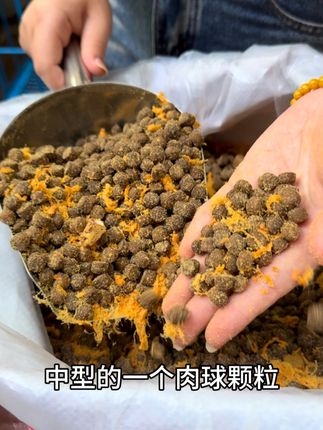 让狗狗增肥长肉,一款平价狗粮就够了#狗粮推荐 #源头工厂