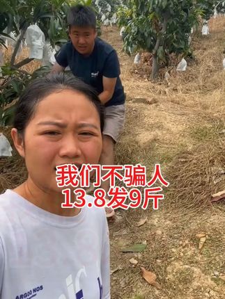 #凯特芒 #大芒果 #肉厚皮薄 #超便宜超划算