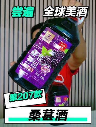 尝遍全球美酒,桑葚酒【第207款】 #果酒 #桑葚酒 #好酒推荐 #好酒分享 #老刘你用啥