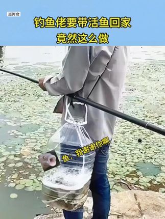 飞碟浮水增氧泵 像浮萍一样的增氧泵,能够飘在水面上给鱼儿打氧,不用单独找收纳位,直接扔进鱼桶里一气呵成!#浮水增氧泵 #防水增氧泵 #防水增氧机 #便携增氧泵 #增氧泵户外