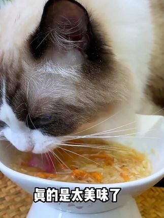 猫咪挑食怎么办要是我早就掀盘子了,这个蛋黄磷虾鸡肉松浇给拿捏挑食怪#萌宠好物 #新手养猫 #猫咪挑食 #记录猫咪日常 #吃货猫