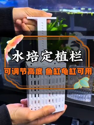 鱼缸、龟缸、不管多深多厚的鱼缸,都能用的定植篮。两个定植篮中间还能接个乌龟爬台。可调节深度,还配了吸盘,想吸在哪里就吸在哪里。这么大的空间,临时隔离打架的小鱼都没有问题。#定植篮 #鱼缸水培 #鱼缸水培定植篮 #水培定植篮 #鱼缸水