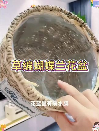 草编蝴蝶兰花盆摆件绿箩花盆仿真纯花手工编织专用花盆编制#好物推荐分享 #绿植优选