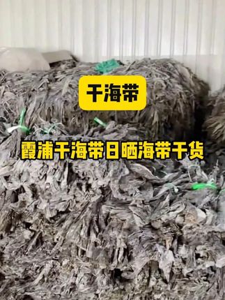 #霞浦海带之乡#干海带#海带煲汤 #凉拌海带丝 #太好吃了