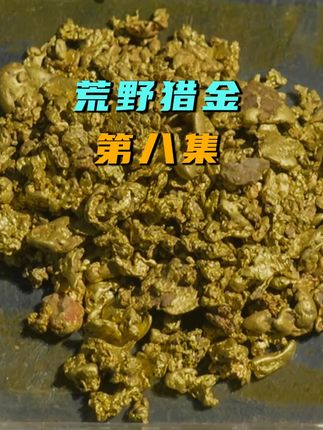 意外不断,淘金人最终能否完成目标? #寻宝求生#荒野猎金#黄金#野外生存#纪录片