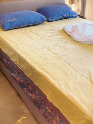 刷毛器刷猫毛狗毛清理清洁宠物毛发来回推拉大面积可重复使用#宠物刷毛器 #清理宠物毛发 #宠物清洁 #可重复使用 #猫狗毛发清理