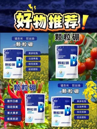 【热卖大包装】颗粒硼 油菜专用花生小麦瓜果蔬菜柑橘葡萄颗粒硼肥