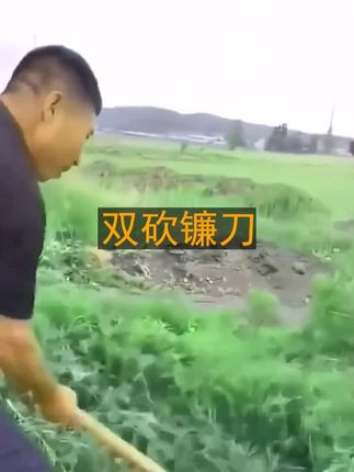 升级加厚双砍两用镰刀锰钢收割砍树砍柴耐用割柴开路多功能锻造镰 #双砍镰刀, #锰钢收割神器, #多功能砍树工具