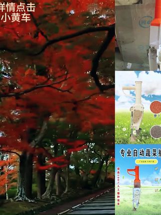 新品自动多功能小型精播机点播器萝卜生菜白菜莴笋蔬菜播种机塑料