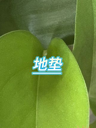 室外商用防滑刮泥防水地垫 #室外防滑地垫 #门口刮泥垫 #防水地毯