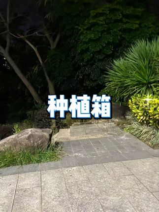 加厚大号塑料仿陶瓷花盆 #果树绿植花盆 #加厚树脂盆 #批发花盆送托盘