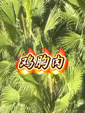 大鸡排鸡胸肉煎鸡扒低脂高蛋白整切美味鸡排儿童#大鸡排 #鸡胸肉 #煎鸡扒 #低脂鸡排 #鸡排