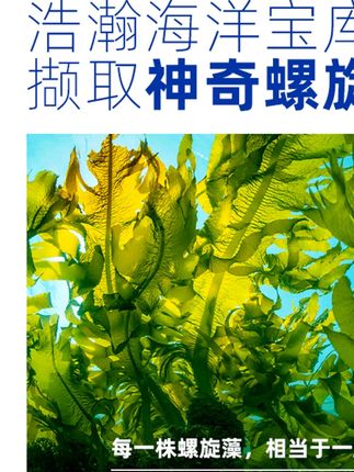多猫家庭一定不能错过麦富迪这款平价猫粮!两位数到手16斤,真的巨划算!  #养猫新手#  猫粮  #麦富迪鲜肉猫粮#  平价猫粮推荐     #多猫家庭一定不能错过麦富