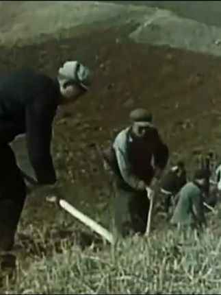 60年代旧影像 #旧影像 #旧影像回忆