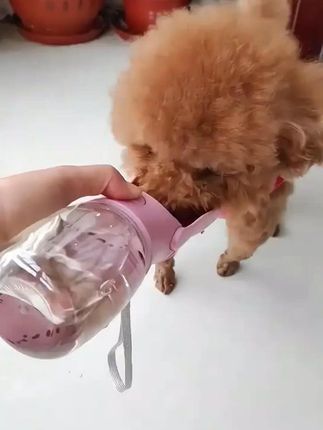 狗狗外出水壶便携式水杯宠物饮水器喂水粮户外遛狗喝水随行杯用品