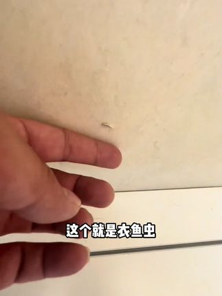小强全清零!灭蟑组合100%灭杀,90天家中无蟑 #巴斯夫#灭蟑螂#蟑螂药#蟑螂克星