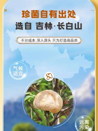 精选长白山猴头菇纯粉无添加优质东北特产#猴头菇 #食材 #干货 #美食 #美味