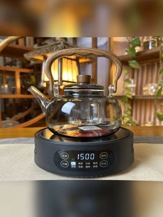 茶友 能陪一杯吗 迷你电陶炉茶炉煮茶器家用小型多功能保温 #电陶炉 #煮茶器 #煮茶壶 #养生壶 #玻璃茶壶