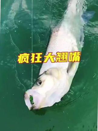 筏痴精工 改良手研加强版旋转活饵泥鳅筏钓鱼钩拍一发二#钓鱼鱼钩 #筏钓装备 #拍一发二 #鱼钩推荐 #筏痴精工