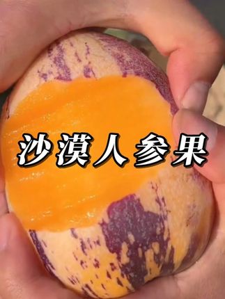 自然树熟黄肉人参果,现摘现发,汁水超多,超甜超新鲜,这样的人参果你们没吃过 吧!#人参果 #新鲜应季水果 #水果 #优质农产品 #吃货必备