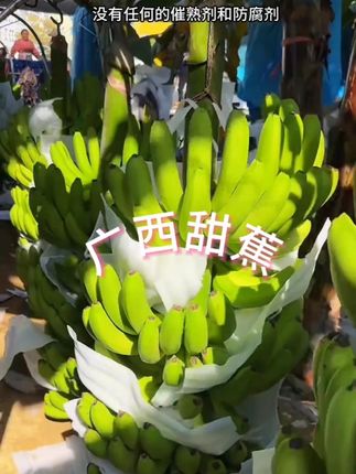 #香蕉 #应季水果 #优质农产品 #现摘现发 #巨巨巨划算