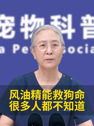 风油精居然能救狗命, 很多养狗人都不知道! #狗狗 #科学养狗 #狗狗驱虫 #萌宠好物 #养狗小妙招
