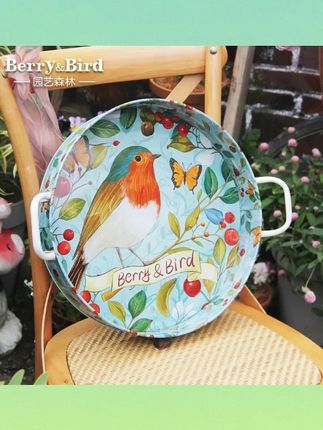 Berry&Bird园艺托盘收纳篮盛碗碟家用种花手提储藏桌面置物盒户外#园艺收纳篮 #家用置物盒 #盛碗碟 #种花神器 #户外收纳