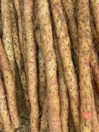 #铁棍山药 #好东西一起分享 #好物分享 #好物推荐