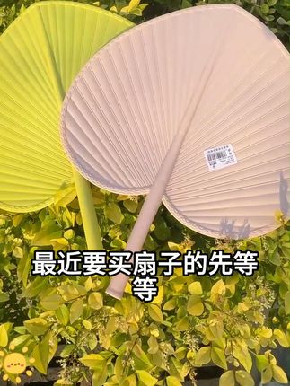 夏季必备,加大号蒲扇,结实耐用还便宜,姐妹们。赶紧来薅这个羊毛#扇子#蒲团扇#夏季必备#夏季好物宝藏清单