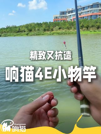 响猫4E小物竿,轻量便携,精致又抗造 #小物钓#钓鱼人的快乐#响猫#爱生活爱钓鱼#溪流钓