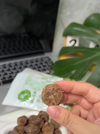 上海哈卡香口李咸味香草话李回味浓城隍庙特产蜜饯孕妇可食#香口李 #特产蜜饯 #咸味香草 #孕妇零食 #上海特产