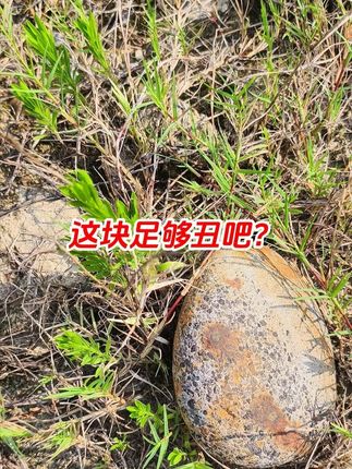 这块足够丑吧? 这块足够丑吧?#户外捡石 #纯天然奇石 #美石分享 #奇石 #捡石头