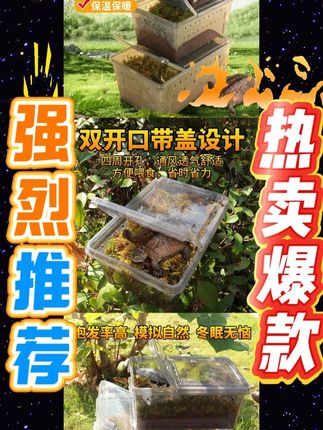 天气转凉,快给你家龟龟准备一个冬眠箱吧 #乌龟 #乌龟冬眠 #乌龟冬眠箱