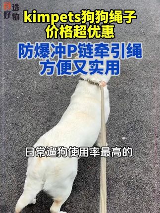 防爆冲P链牵引绳~方便又实用!!#牵引绳#P链#防爆冲牵引绳#萌宠好物#B