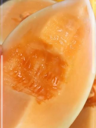 #黄金蜜瓜 #新鲜水果 #蜜瓜