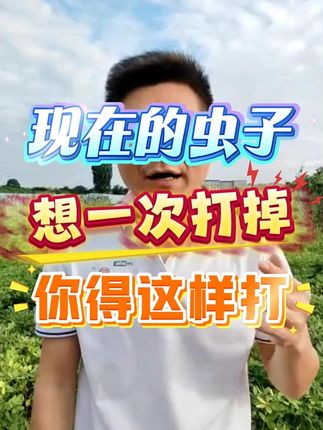 打虫子用这个杀虫剂一次就行 #杀虫剂 #杀虫剂厂家 #除虫 #地上地下害虫通杀 #万能除虫配方