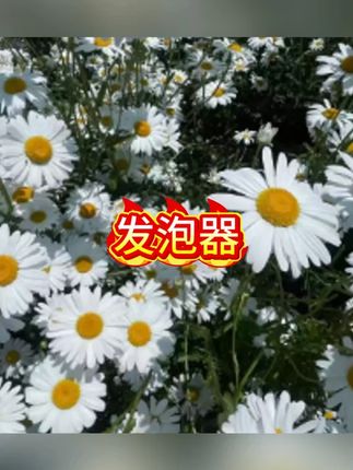 瑞普喷泡沫器洗车专用喷壶神器pa壶水枪手动喷水发泡器高压工具 #洗车 #洗车神器 #喷壶 #喷水 #汽车好物