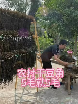 宝子们,今年豆角简直大爆仓啦!产地直供的新鲜干豆角,从田间到你家,只要 9.9,直接给您发 3 大袋!这种农家晾晒的干豆角,泡发后炒菜、做炖菜,那叫一个香,妥妥的超级下饭菜!错过这次,可就没这好事儿咯,赶紧冲!#豆角丰收季 #下饭菜 #干豆角美食 #新鲜采摘