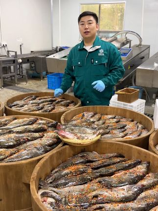 在饭店吃一条鱼的价格,在我们原产地直播间可以带走3条! #臭鳜鱼 #宏村臭鳜鱼 #徽菜 #源头工厂