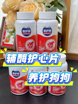 狗狗经常倒吸气,不要忽视#狗狗 #养狗经验分享 #科学养宠攻略 #无限回购的宝藏单品 #萌宠出道计划
