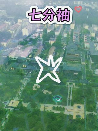 品牌秋装大码女装中袖上衣针织七分袖POLO领女薄款半袖灰色体恤杉