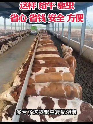 TumanKurt牛羊鸡猪养殖场专用体外驱虫复配溶液