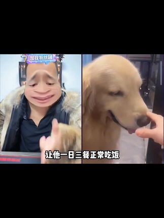 潘宏搞笑名场面#潘宏 #潘宏爱玩狗 #名场面 #搞笑视频 #狗