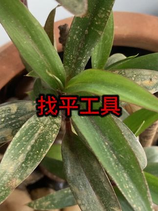#装修工具 #瓦工神器 #DIY装修