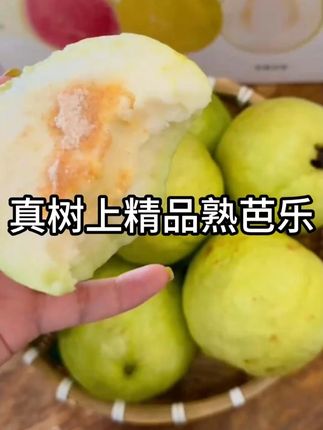 巨好吃的芭乐来了,赶紧来尝鲜#芭乐 #水果推荐